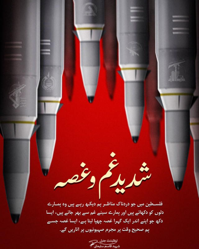 قاسم سلیمانی  نے شیعہ سنی کے جھگڑے میں پڑے بغیر فلسطین کا دفاع کیا