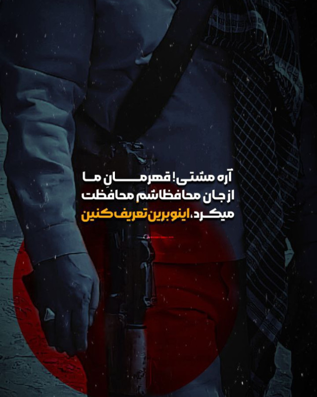مجموعه پوستر : نگذاشت دشمن به خانه برسد