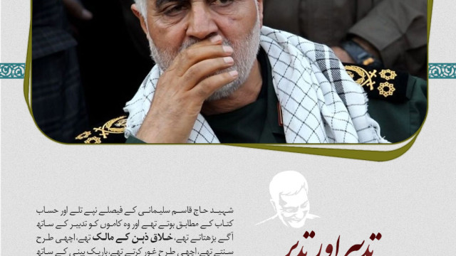 ماہرانہ سیاست کی  مثال