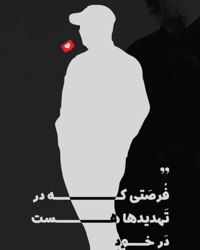 مجموعه پوستر : فرصت پایان خسارت محض