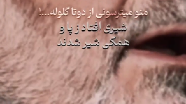 منو میترسونی از دوتا گلوله....